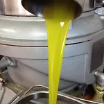 Il Nespolo *