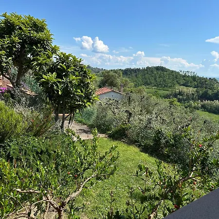 Il Nespolo